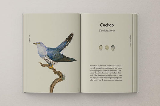 Book of Birds: A Field Guide to Wonder and Loss