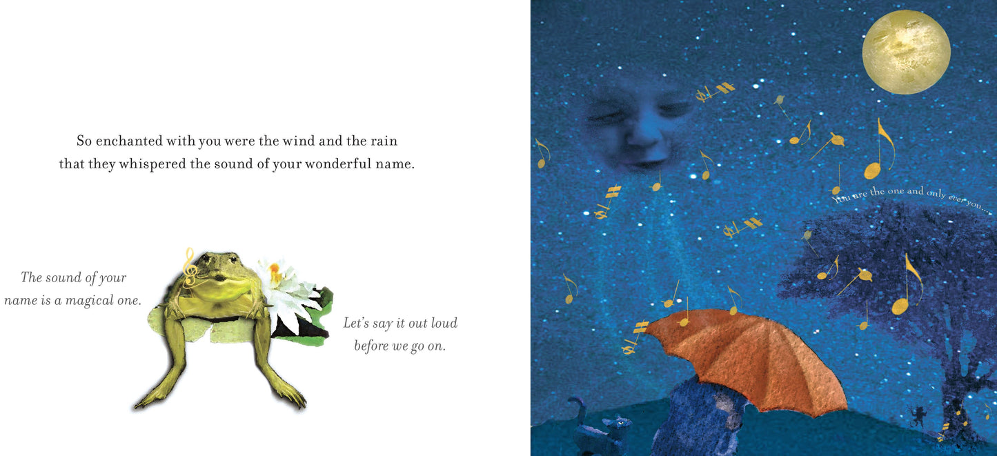 On The Night You Were Born (Board Book)