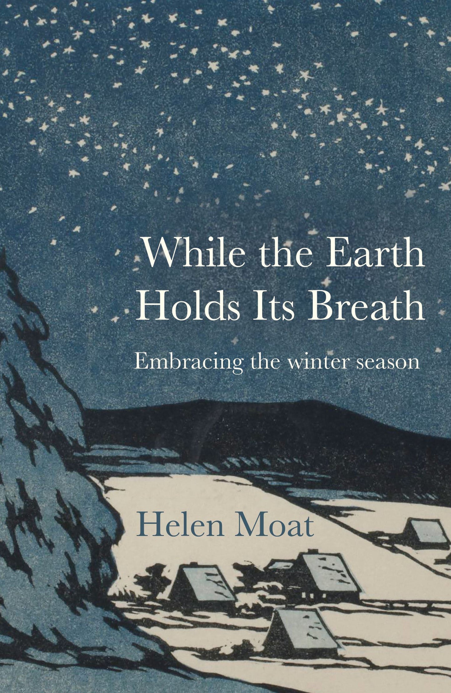 While the Earth Holds its Breath (Winter)