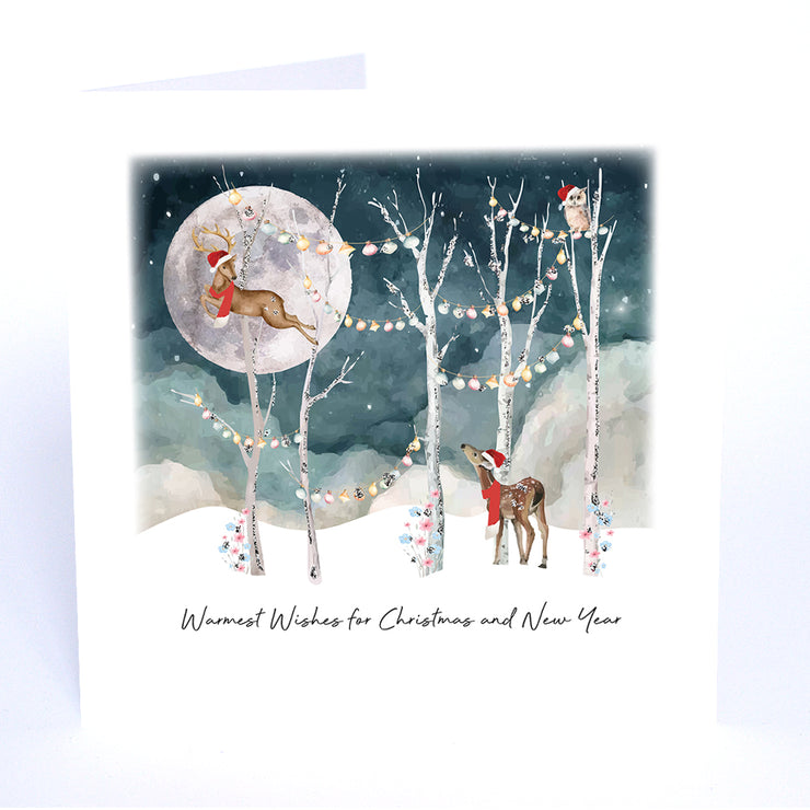 Warmest Wishes for Christmas - Always Believe