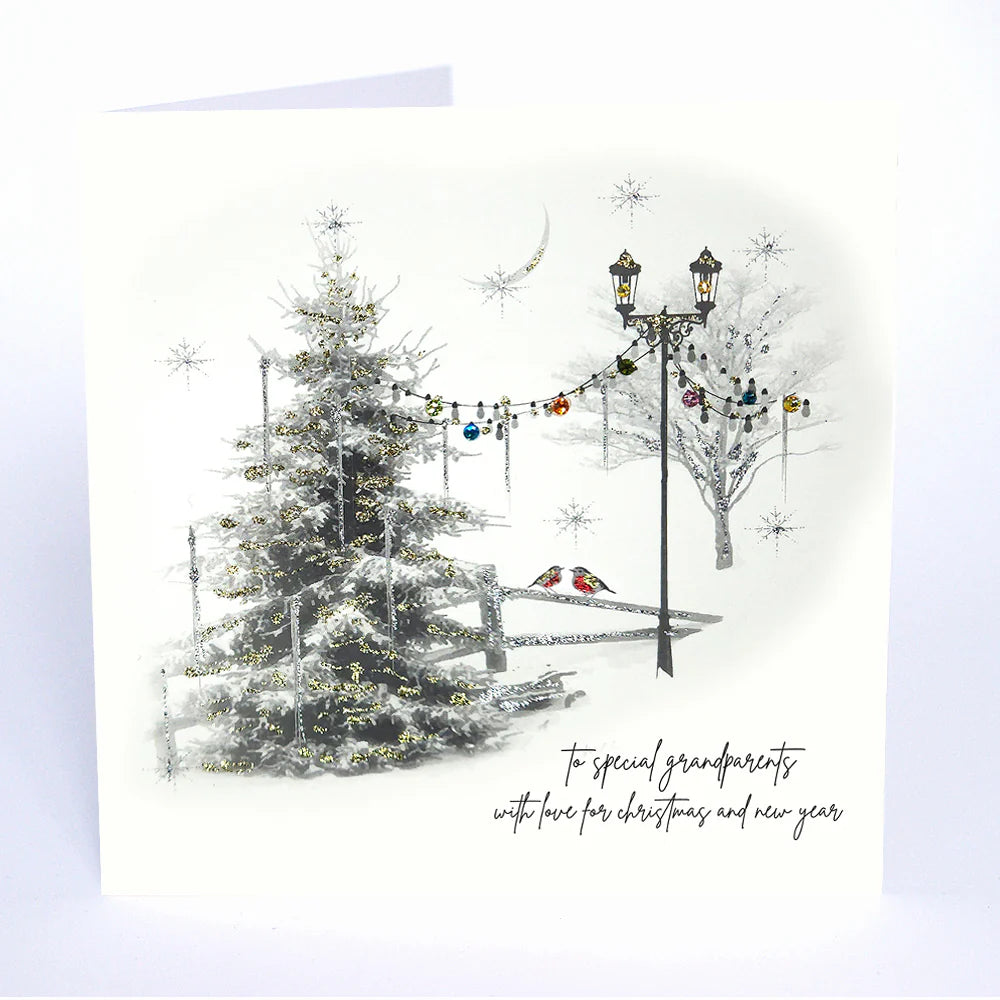 To Special Grandparents With Love For Christmas and New Year