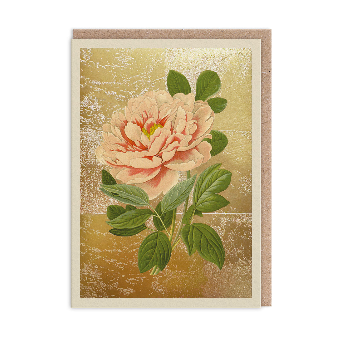 Tree Peony