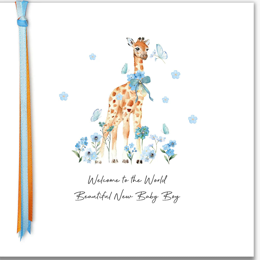 Ribbons and Roses Beautiful New Baby Boy