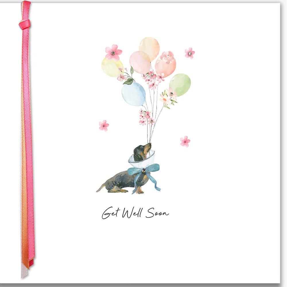 Ribbons and Roses Get Well Soon