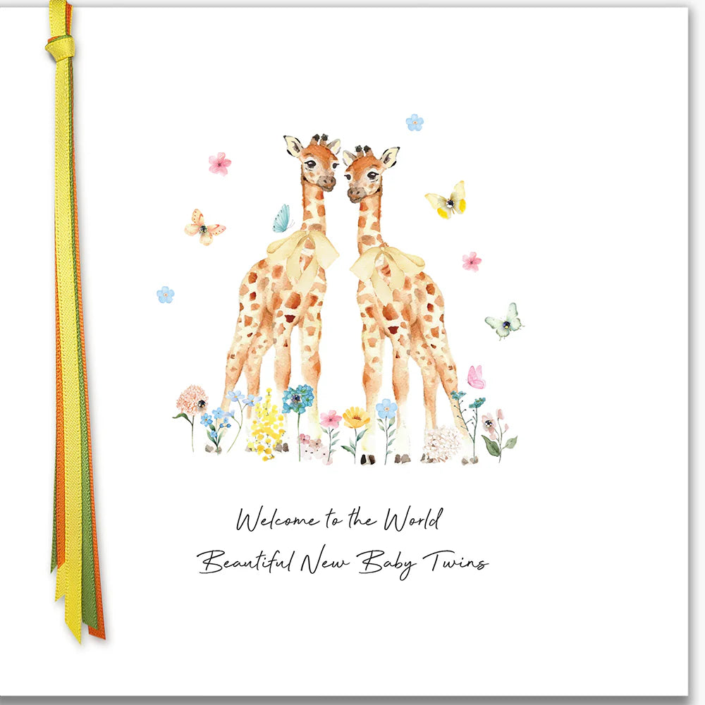 Ribbons and Roses Beautiful New Baby Twins