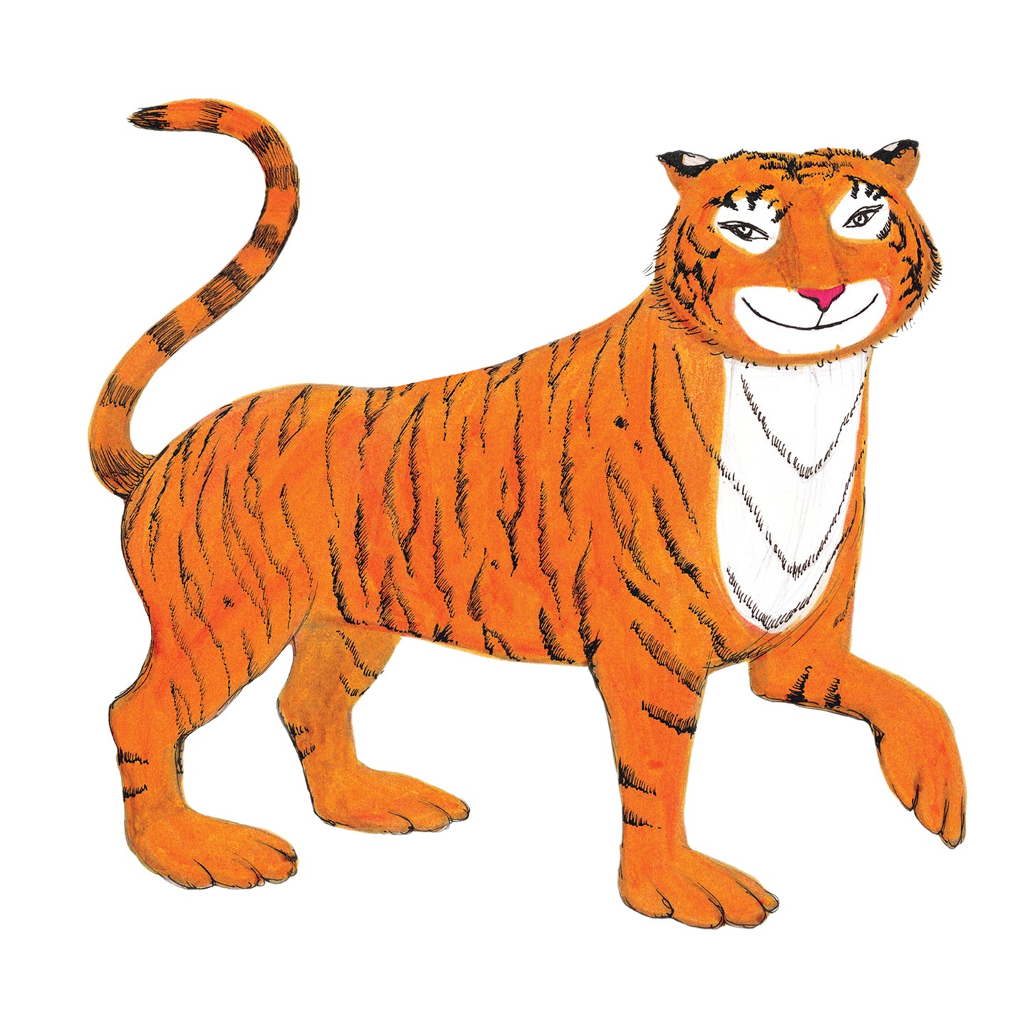Tiger who came to Tea - Tiger Standing