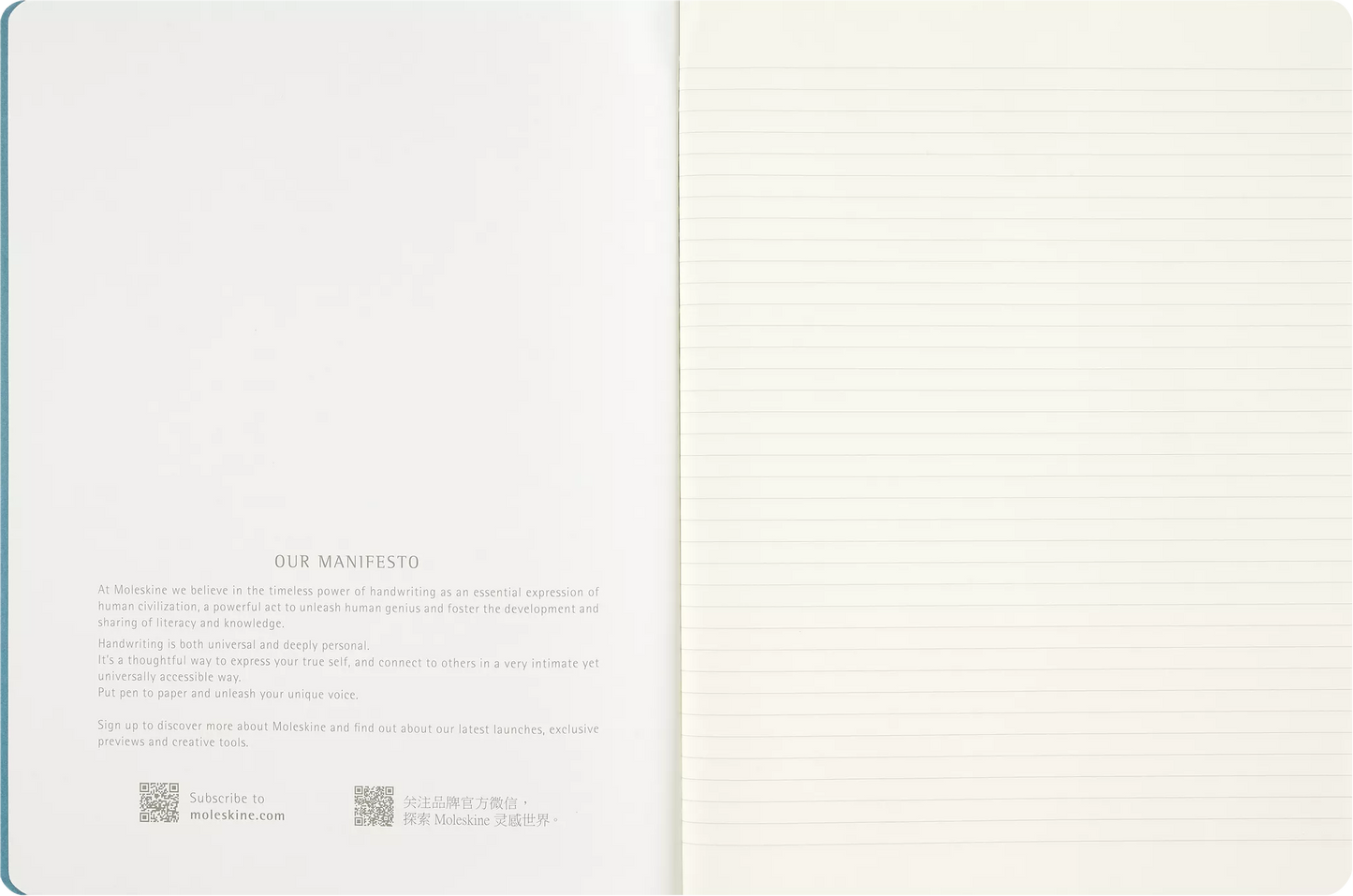 Le Peanuts Linus Single Notebook - Moleskine