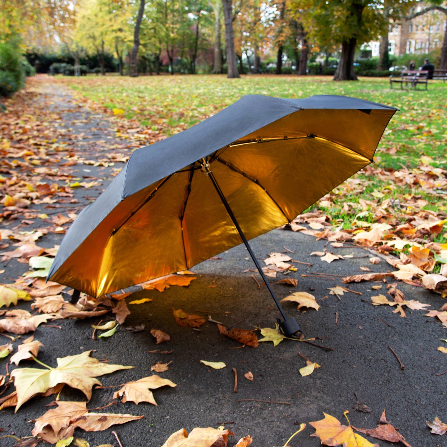 Black & Gold Umbrella