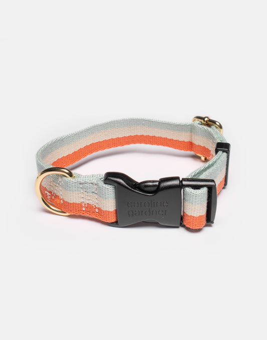 Blue and coral stripe dog collar