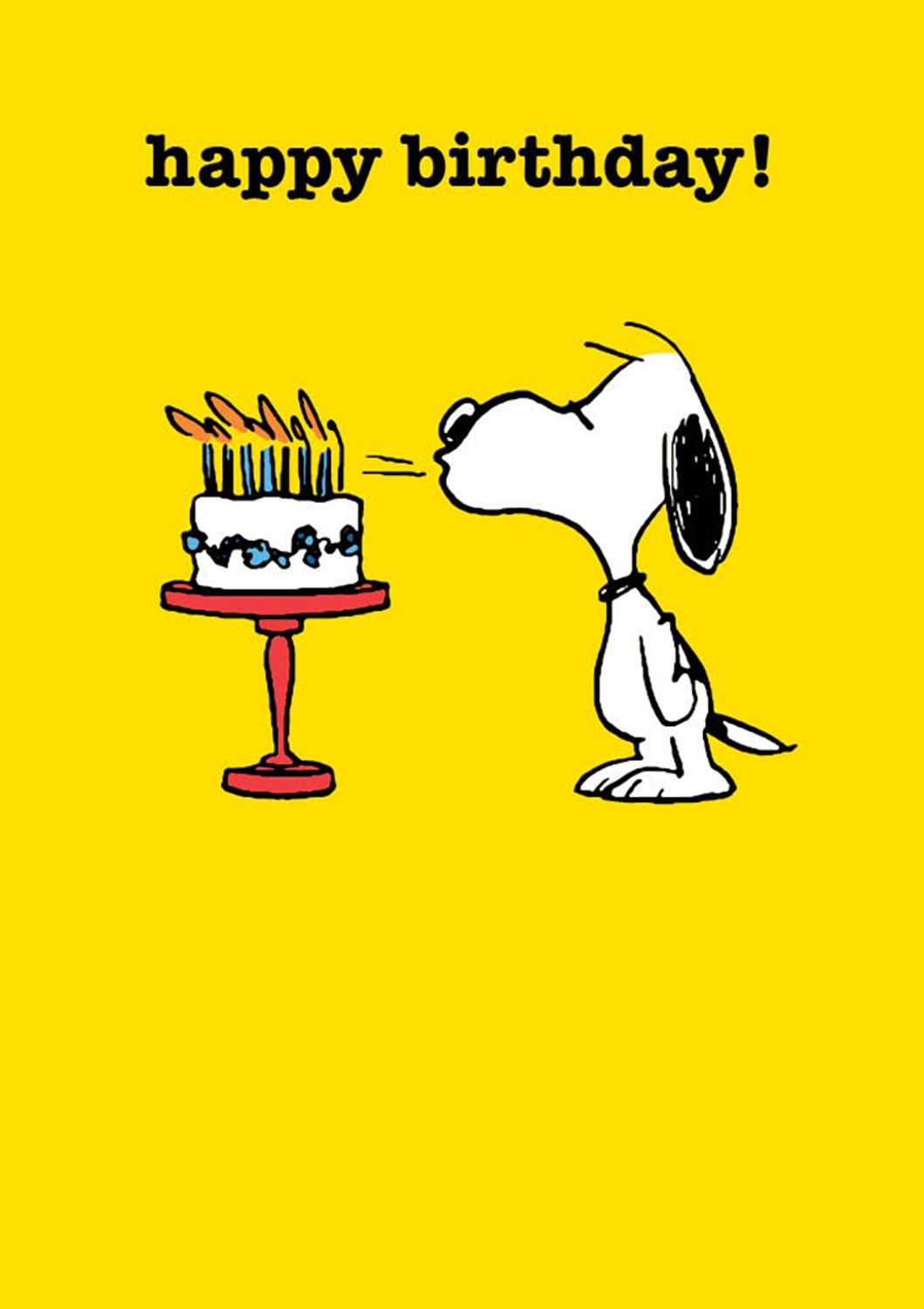 Snoopy Birthday Cake