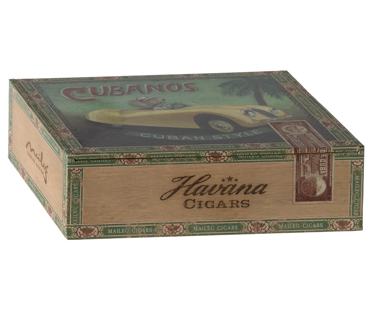 Grandma and Grandpa mice in Cigar Box