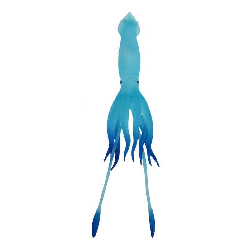 Glow In the Dark Squid