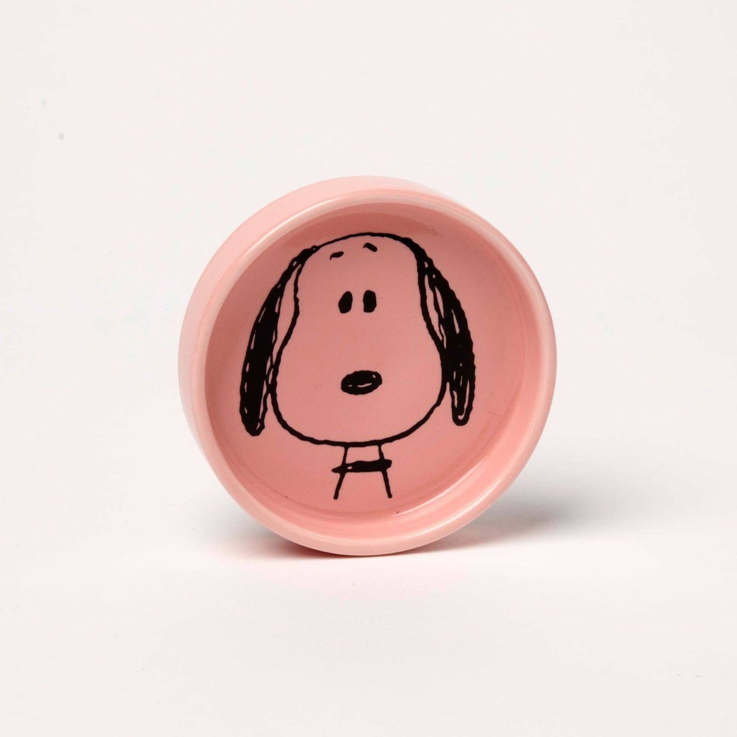 Peanuts Pin Dish - Visage