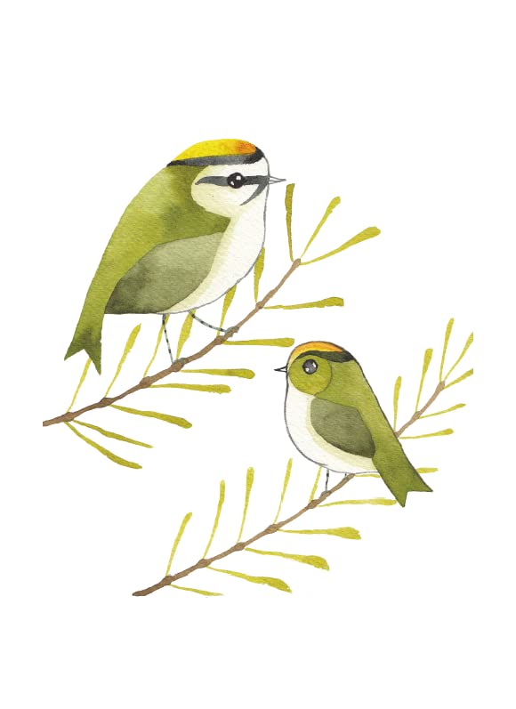 Our Garden Birds HB
