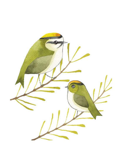 Our Garden Birds HB