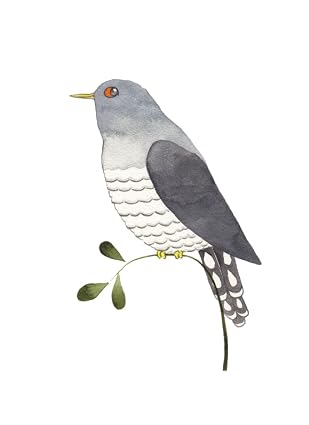 Our Garden Birds HB