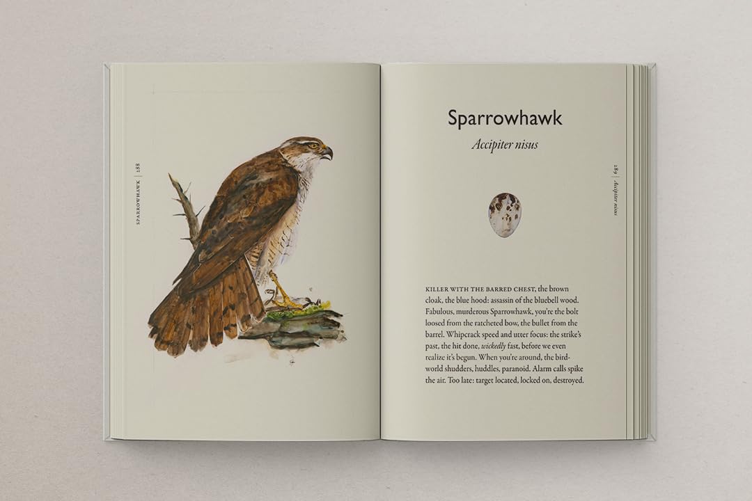 Book of Birds: A Field Guide to Wonder and Loss