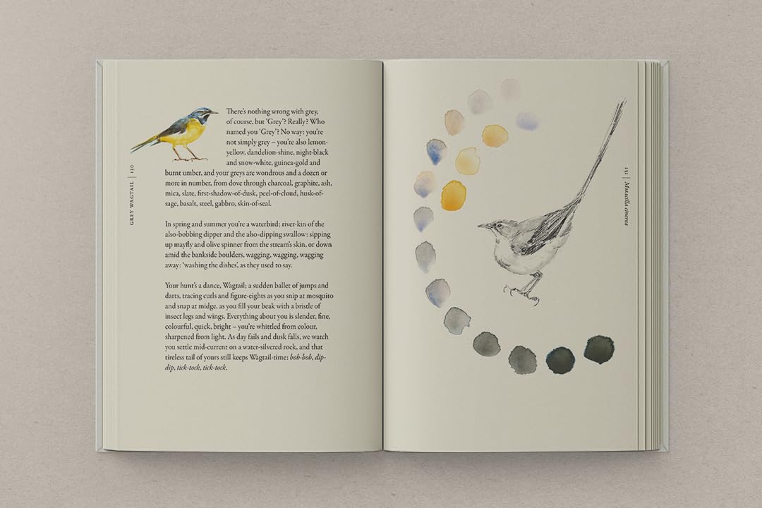 Book of Birds: A Field Guide to Wonder and Loss