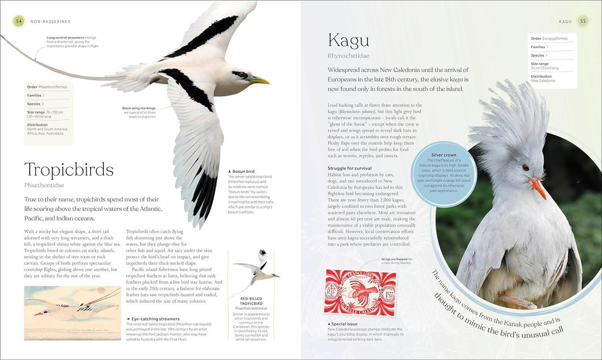 Bird Book: The Stories, Science and History of Birds