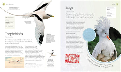 Bird Book: The Stories, Science and History of Birds