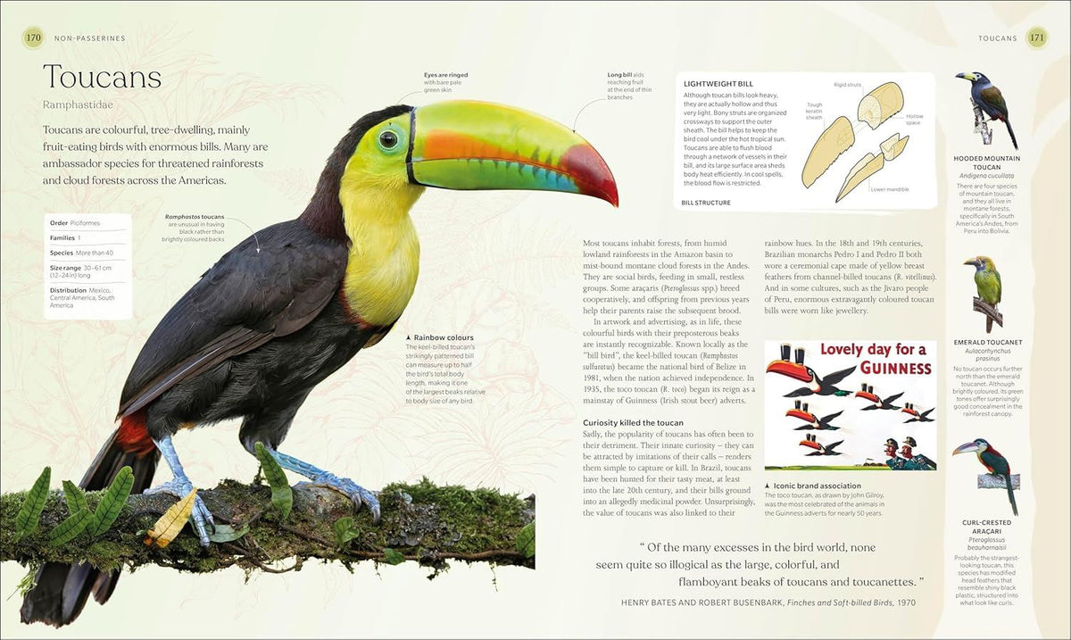 Bird Book: The Stories, Science and History of Birds
