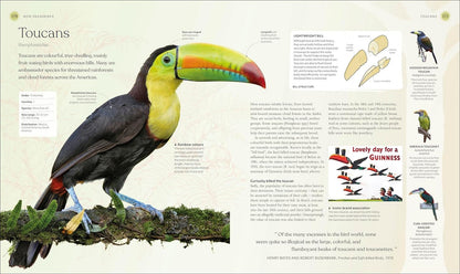 Bird Book: The Stories, Science and History of Birds