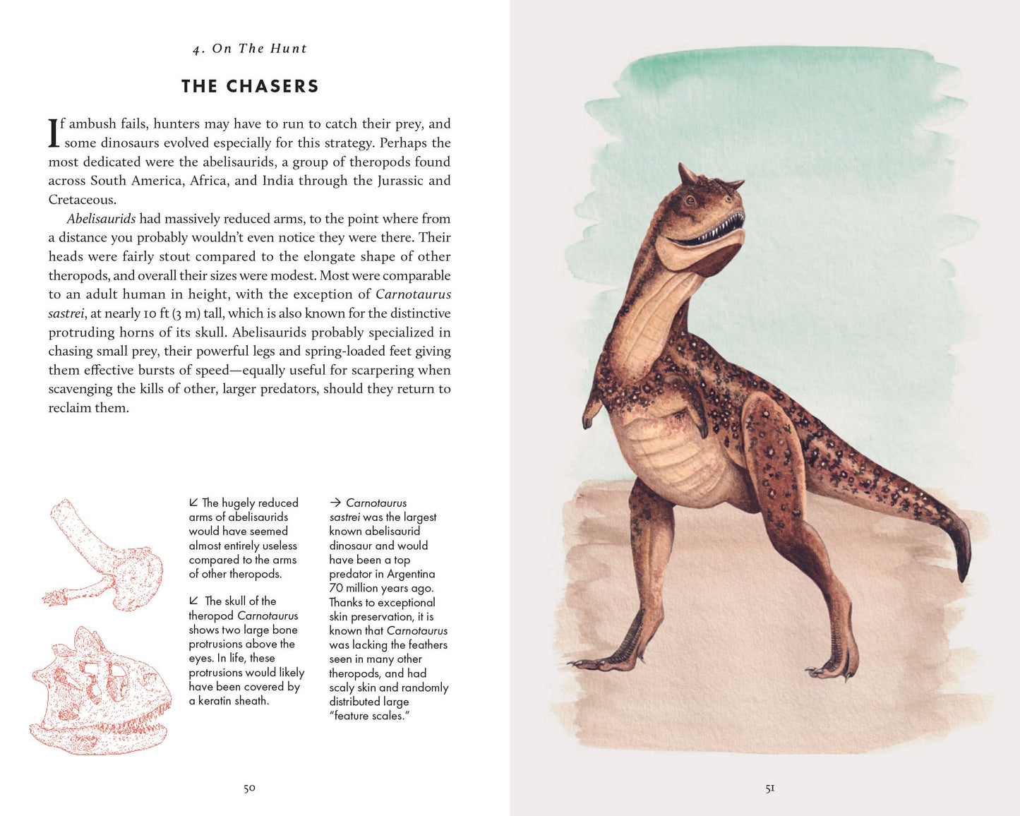 Little Book of Dinosaurs (Princeton University Press)