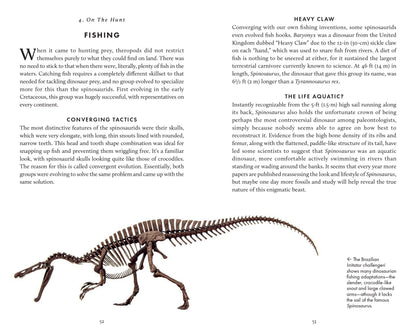 Little Book of Dinosaurs (Princeton University Press)