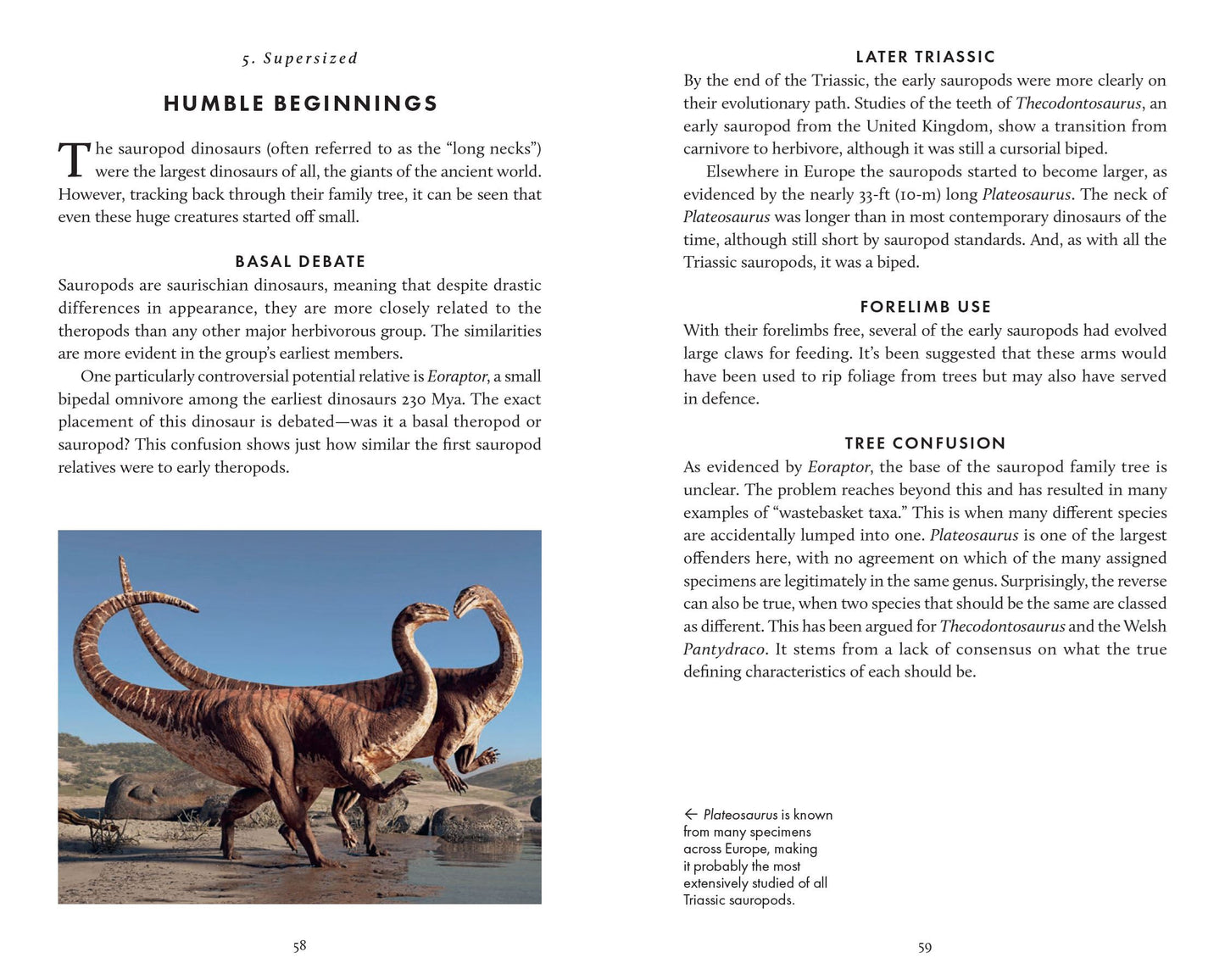 Little Book of Dinosaurs (Princeton University Press)