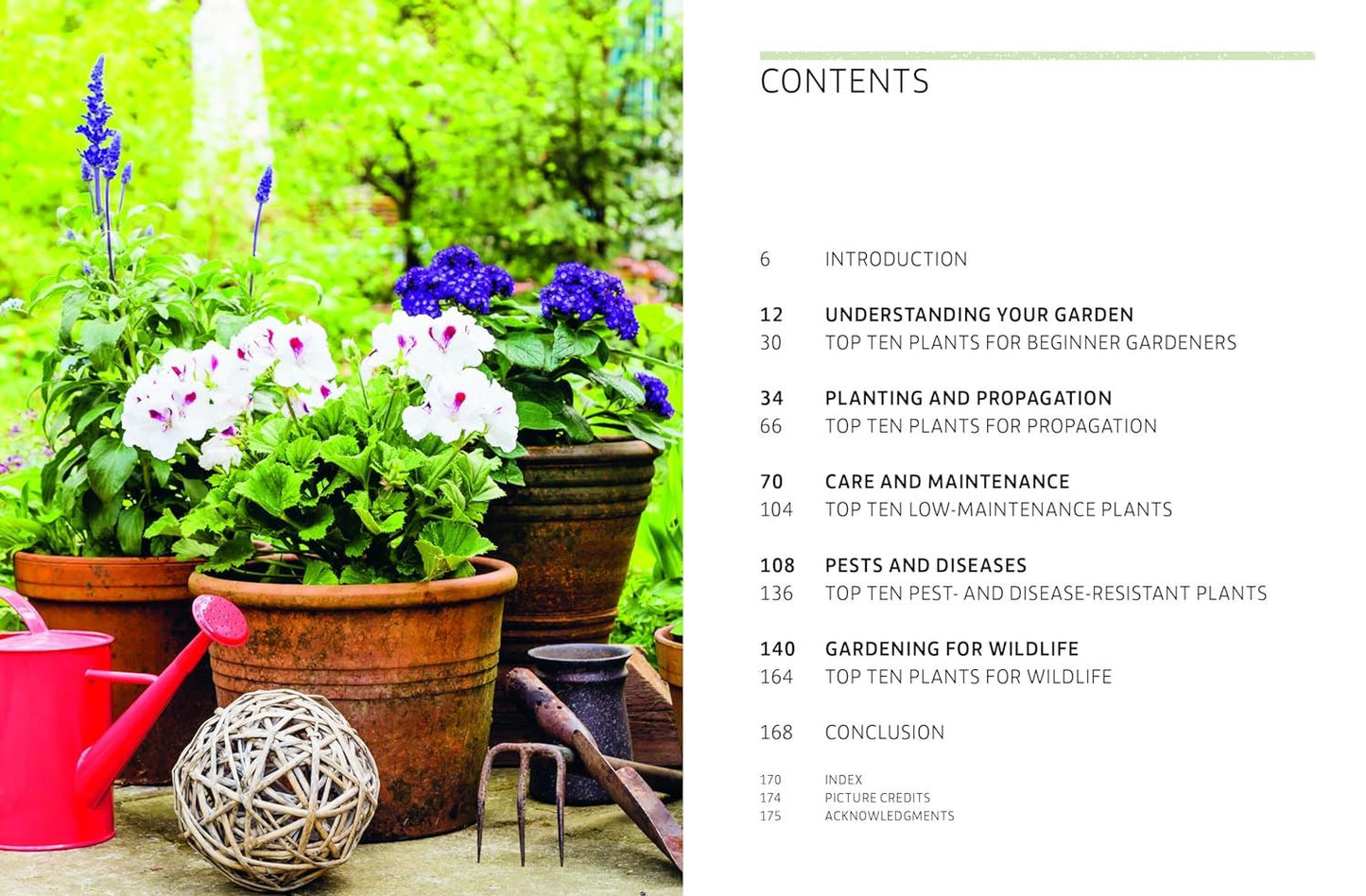 Kew Answers For Everyday Gardeners: 100 Problems Solved