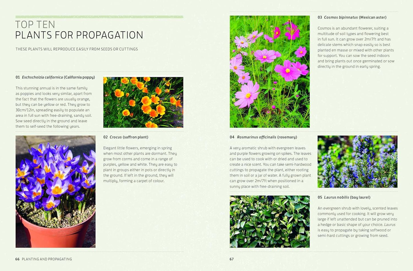 Kew Answers For Everyday Gardeners: 100 Problems Solved