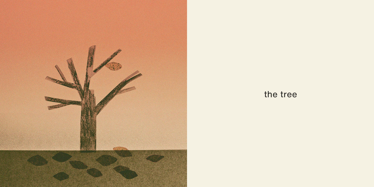 Now I See Autumn - Mac Barnett and John Klassen