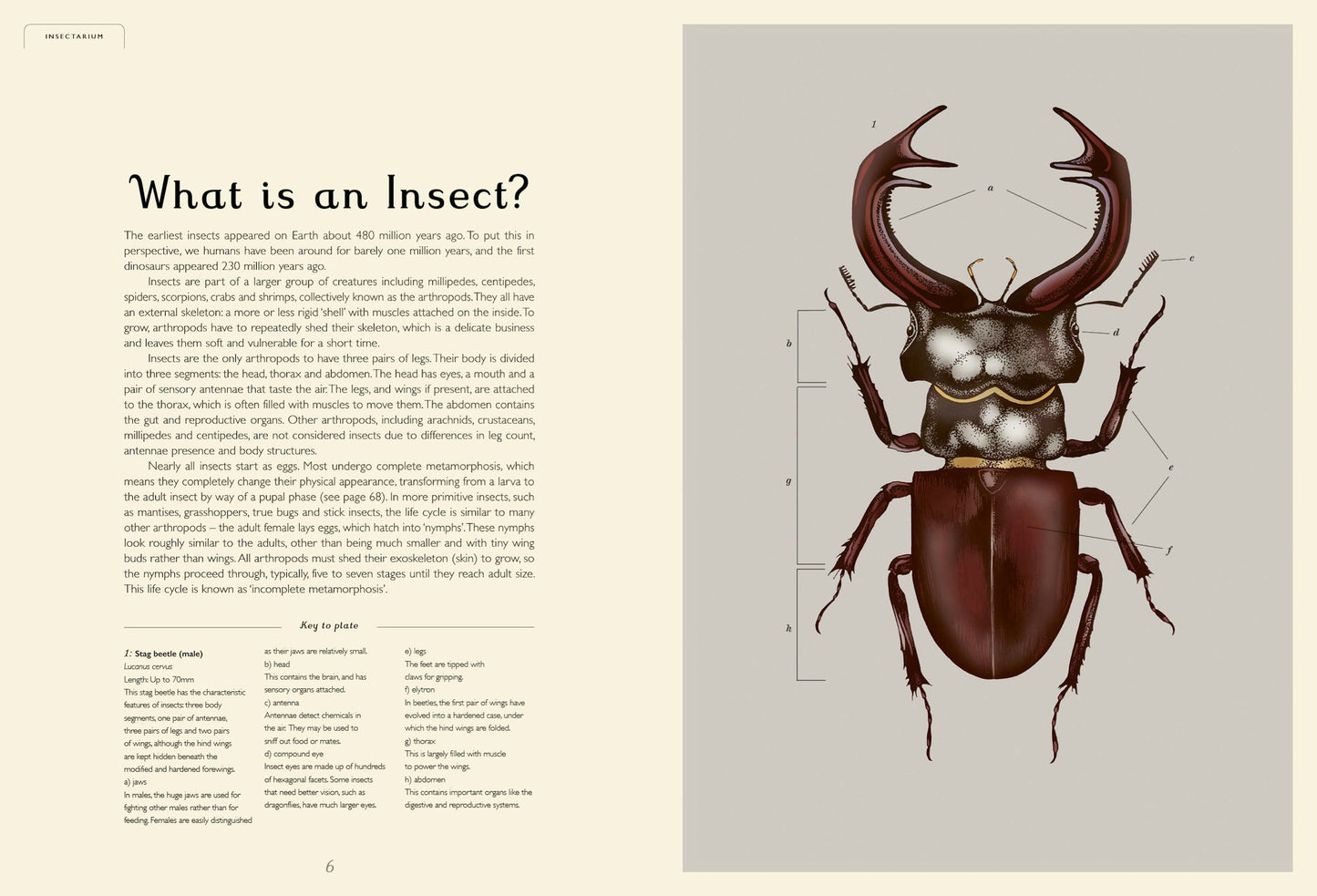 Insectarium