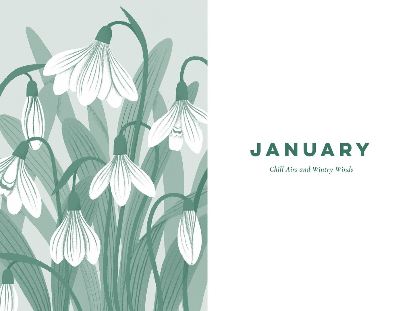 A Nature Poem For Every Day Of The Year (NEW)