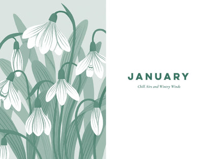 A Nature Poem For Every Day Of The Year (NEW)