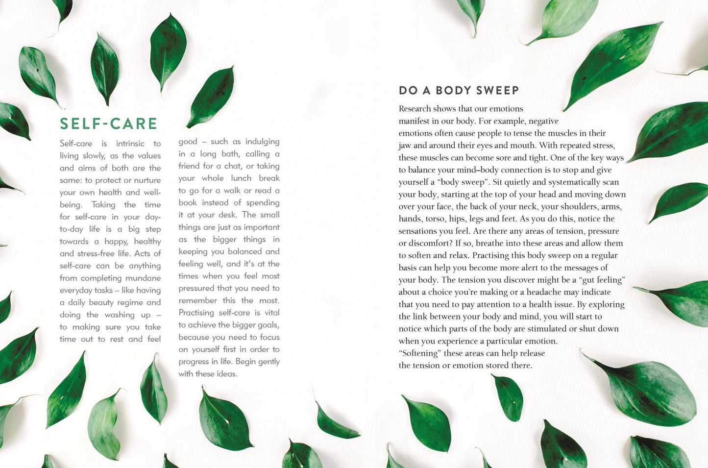The Art of Slowing Down