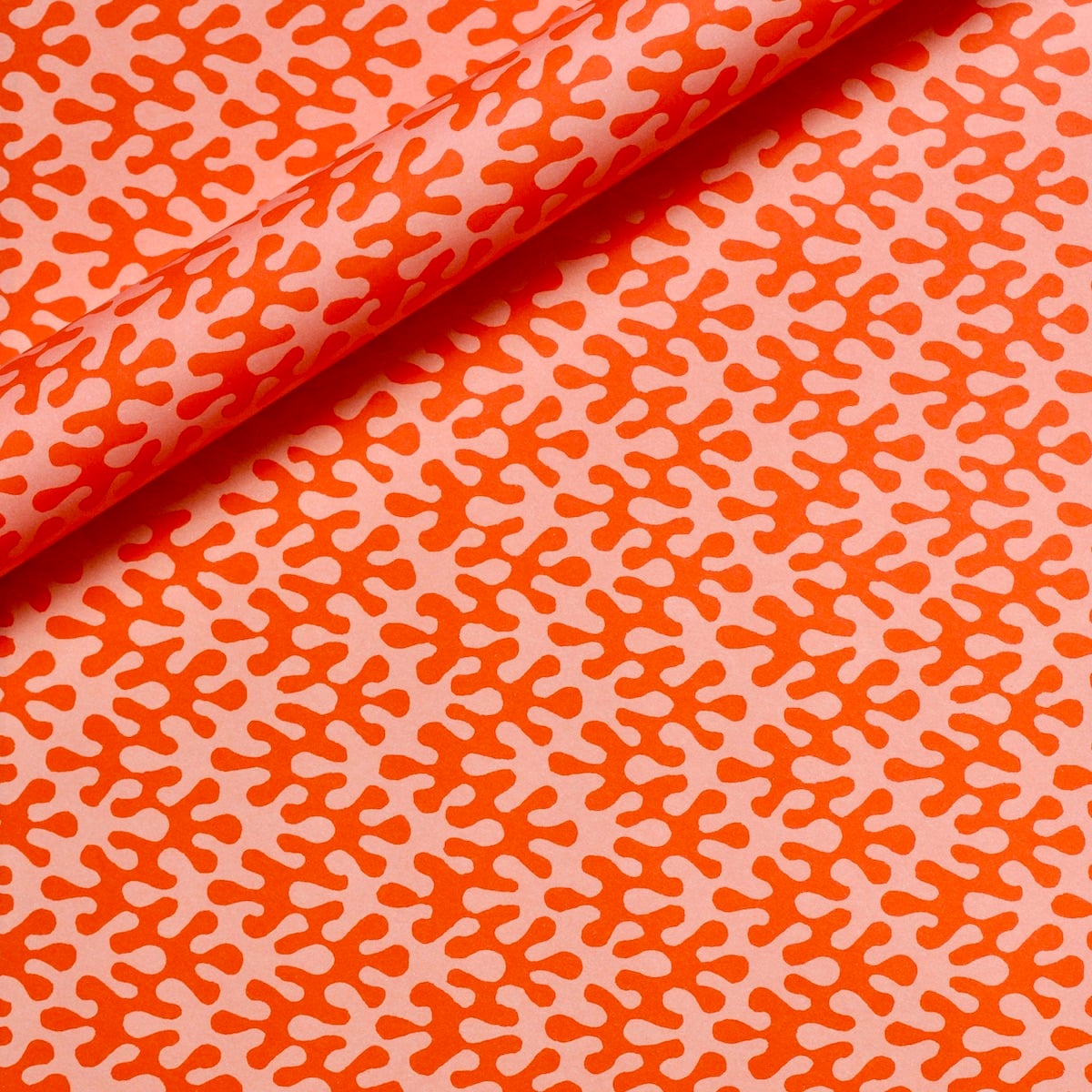 Gift Wrap - Kelp Tangerine