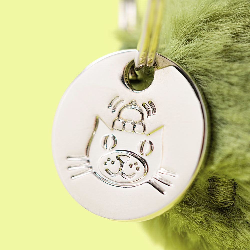 Pickle Bag Charm