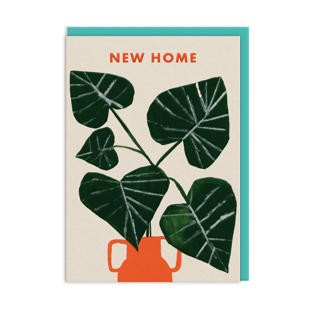 Monstera New Home