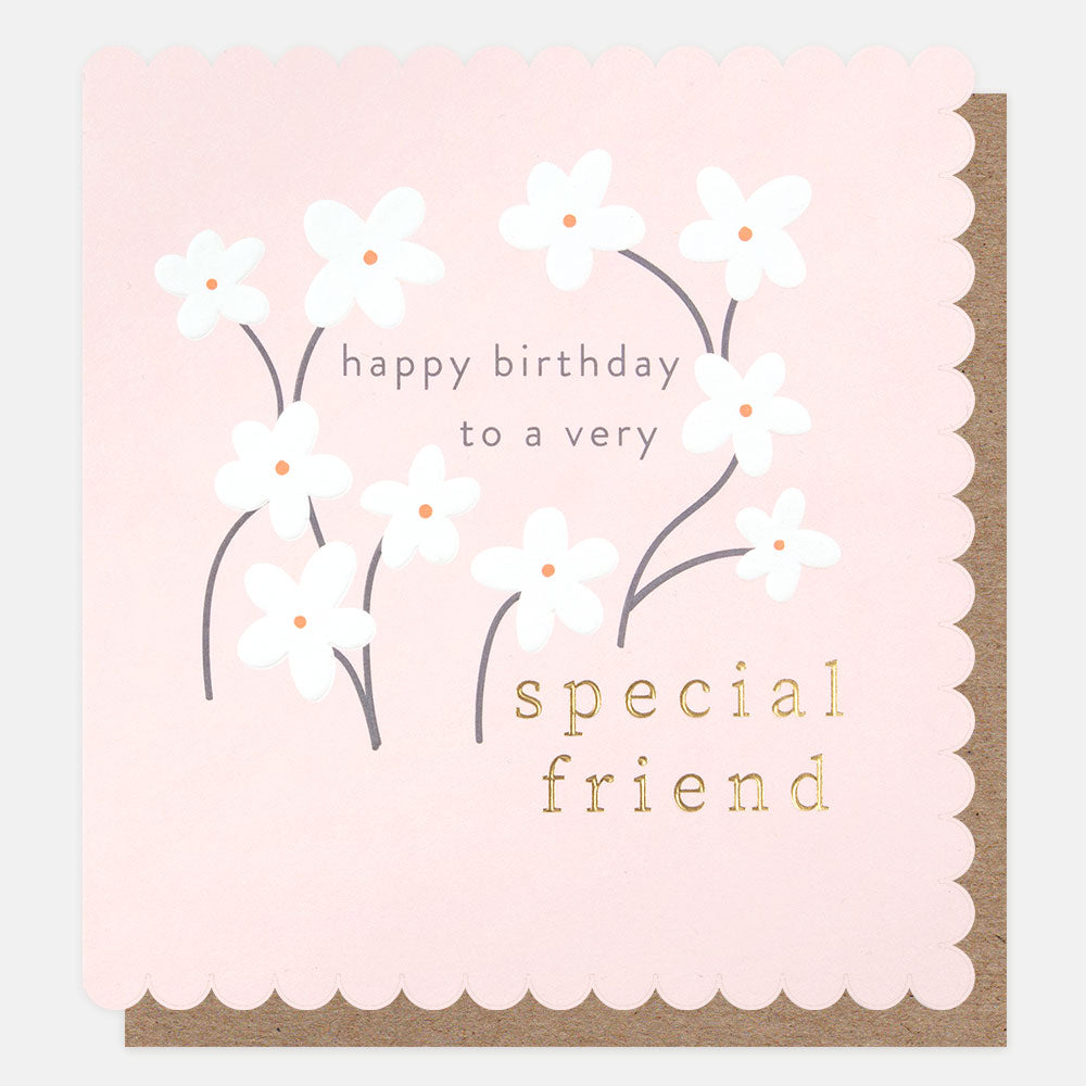 Happy Birthday To A Very Special Friend