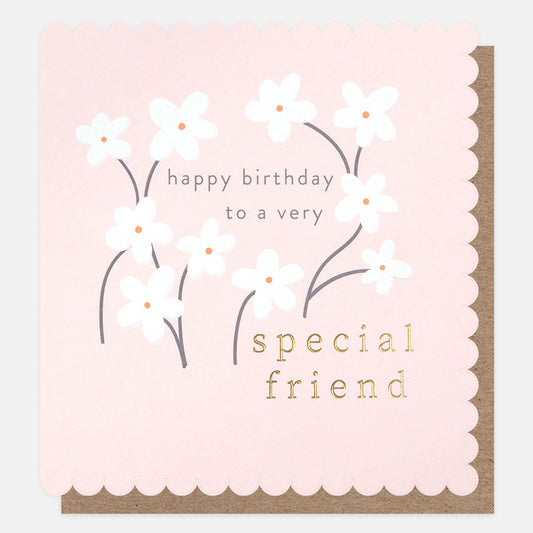 Happy Birthday To A Very Special Friend