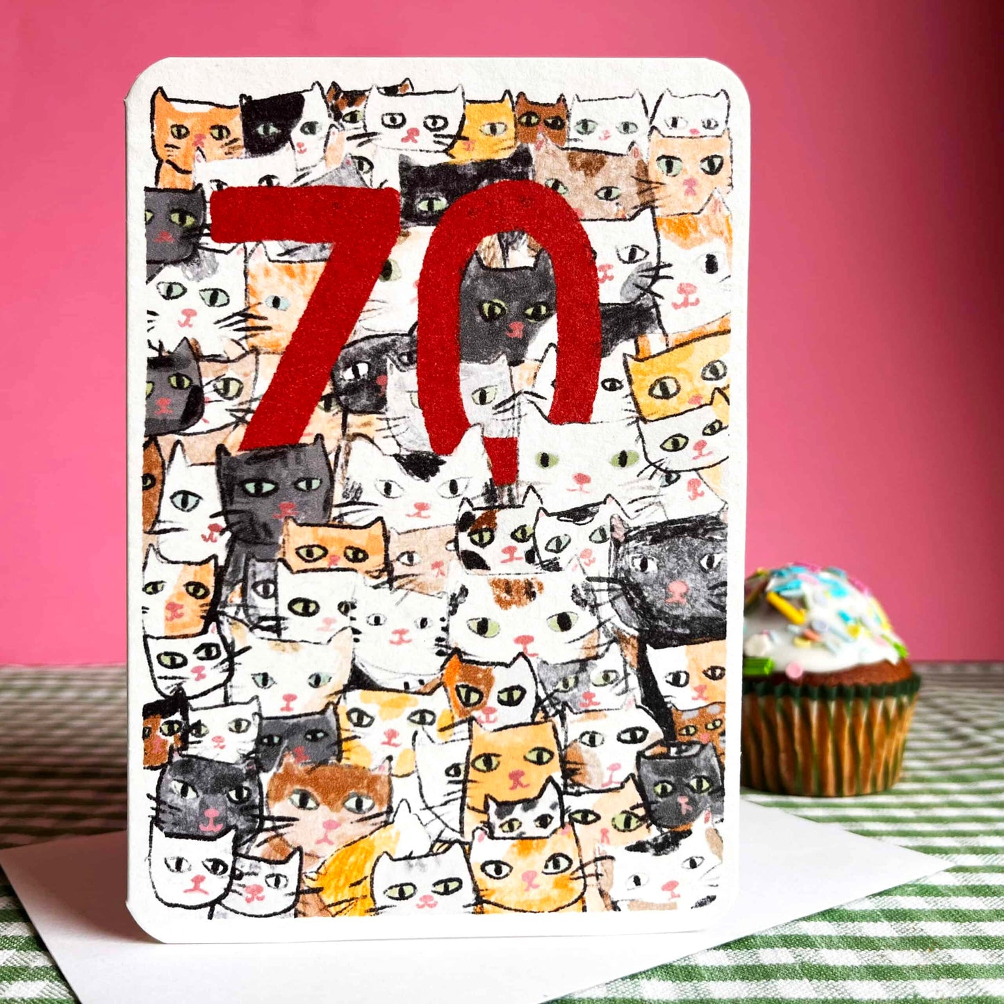 Seventy Today Cats