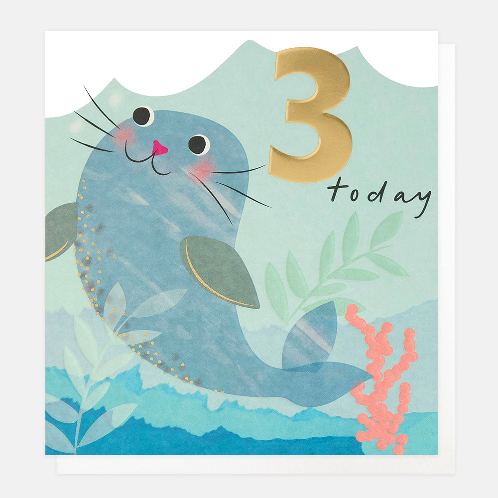 Seal 3rd Birthday Card