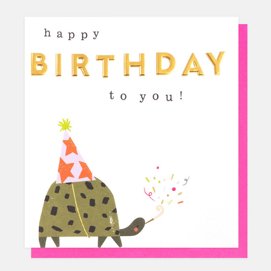Happy Birthday to You - Tortoise