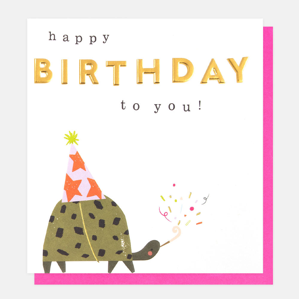 Happy Birthday to You - Tortoise