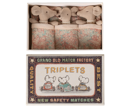 Triplets, Baby Mice in Matchbox - Checker