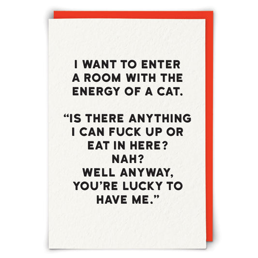 Cat Energy