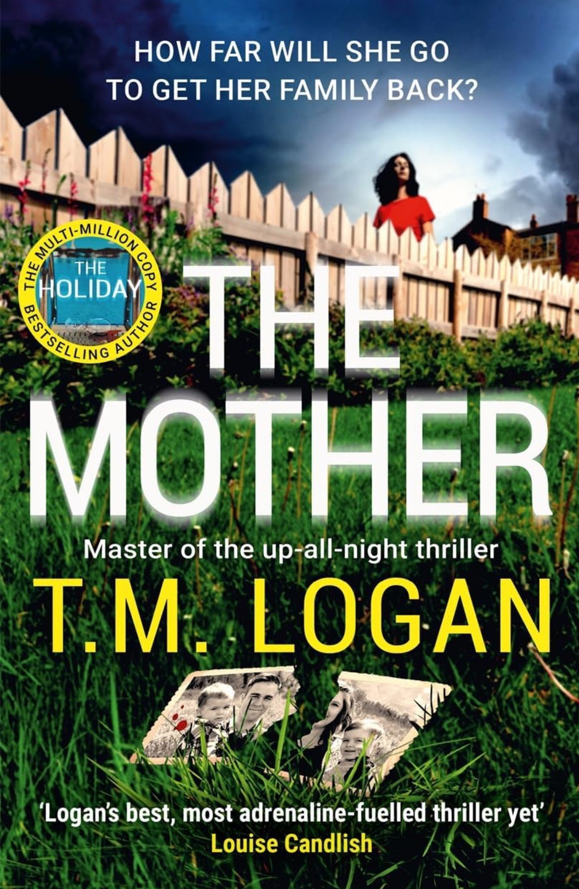 The Mother by T. M. Logan