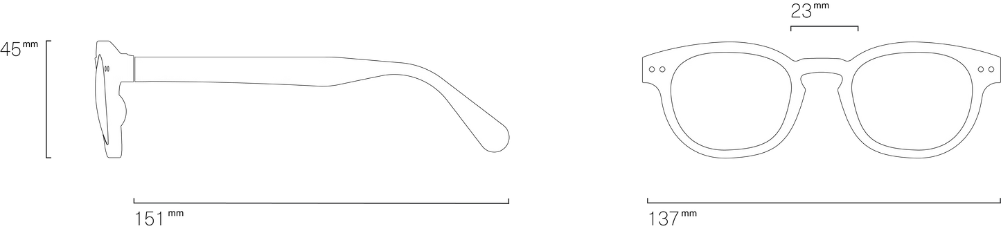 Unisex Sunglasses - Style C Blue Tortoise