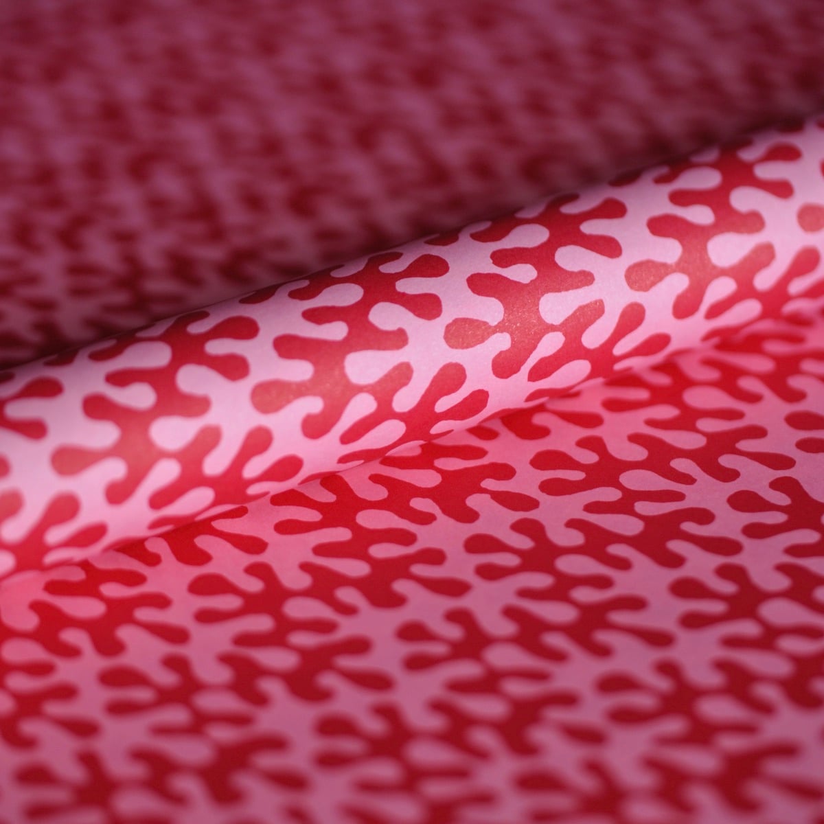 Gift Wrap - Kelp Raspberry Ripple
